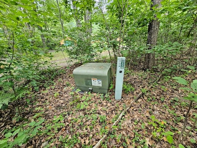 ON Marie Ln, Minocqua, WI 54548 - photo 2