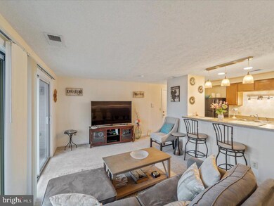 17050 Capri Ln unit 304, Dumfries, VA 22026 - photo 6