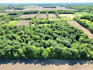 63362 Carver Rd, Vandalia, MI 49095 - photo 3