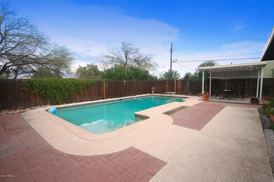 North facing back yard