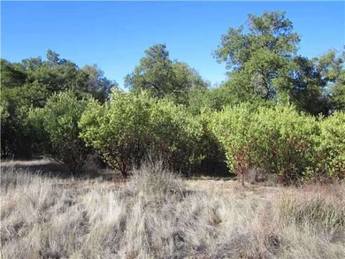 Manzanita grove