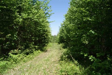 0 Canaan Hill Rd unit 4759378, Canaan, VT 05903 - photo 2