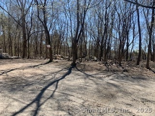 00 Winthrop St & E Elm St, Torrington, CT 06790 - photo 5