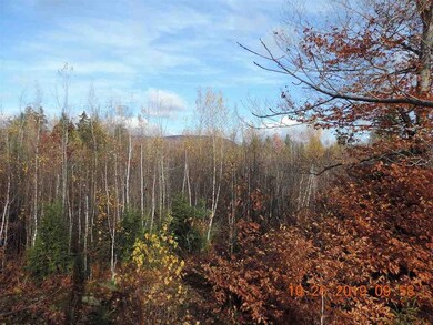 0 S Ridge Rd unit lot 7-20 4783149, Bradford, NH 03221 - photo 6