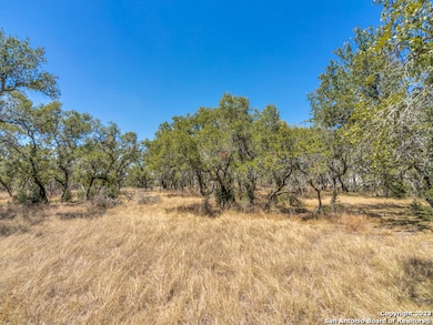 680 Annabelle Ave, Bulverde, TX 78163 - photo 4