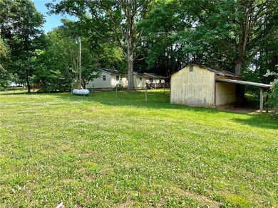 side yard looking at shed