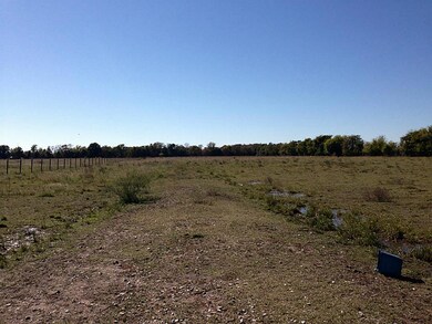 0 Padon Rd unit 17202342, Needville, TX - photo 2