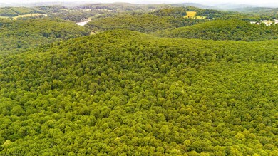 0 Camp Mountaineer Rd, Morgantown, WV 26508 - photo 4