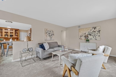 32778 Sumac St, Union City, CA 94587 - photo 3