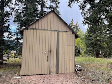 320 Forest Service 770 Rd, Pitkin, CO 81241 - photo 3
