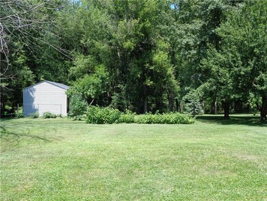 Wooded view from the side yard, raspberry and blac