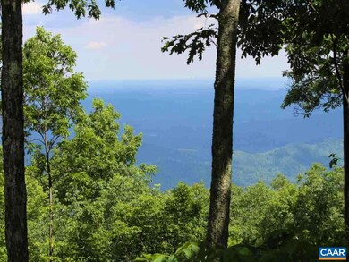 53 S Rock Tree Ln, Roseland, VA 22967 - photo 3