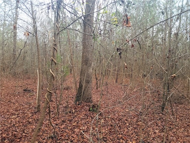 00 Scott Ln, Pelzer, SC 29669 - photo 5