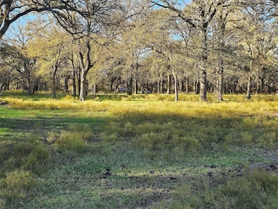 1447 Red Gate Rd, Mart, TX 76664 - photo 3