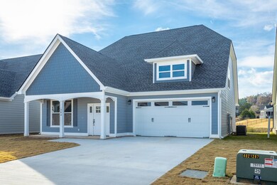 384 Willow Grove Ct unit 65, Ringgold, GA 30736 - photo 3