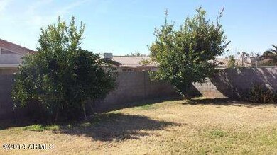 Backyard Right View