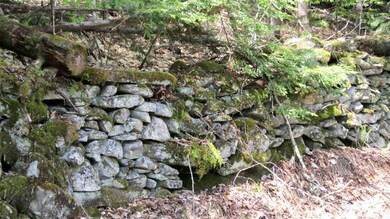 5062 20 Mile Stream Rd, Cavendish, VT 05153 - photo 5