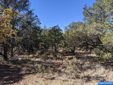 4775 N Swan St, Silver City, NM 88061 - photo 2