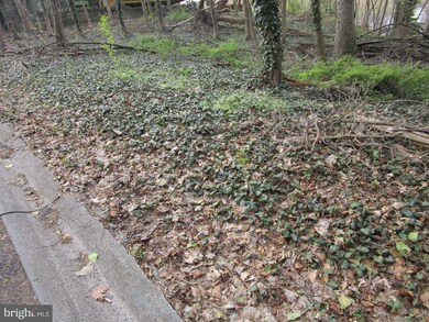 5390 Wingohocking Heights, Philadelphia, PA 19144 - photo 6