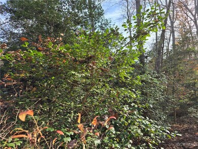 View of local wilderness