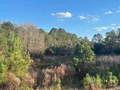 8893 Sunbury Rd, Claxton, GA 30417 - photo 5