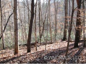 109 Yates Ln unit 109, Lake Lure, NC 28746 - photo 2
