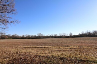 1662 Cr 730 unit North 10 acres, Jonesboro, AR 72401 - photo 7