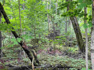 TBD Allen's Lakeview Rd Lots 863 864, Beaver Island, MI 49782 - photo 3