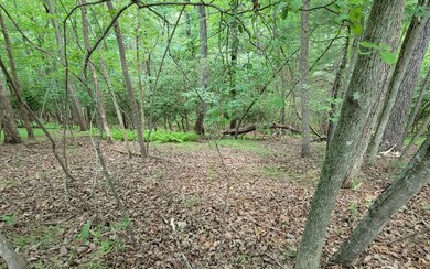 Additional View