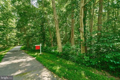 12401 Caisson Rd, Sully, VA 22030 - photo 5