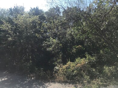 11253 Condor Pass, Helotes, TX 78023 - photo 6