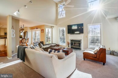 5417 Jerseybelle Ct, Ellicott City, MD 21043 - photo 4