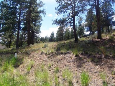 3145 NW Shevlin Meadow Dr unit 99, Bend, OR 97701 - photo 3