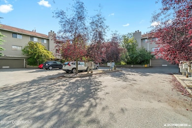 06-DSC08585