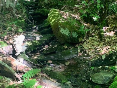 95 Jenne Rd, Hartland, VT 05048 - photo 5