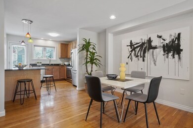 27 Lopez St, Cambridge, MA 02139 - photo 6