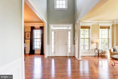 4707 Barnum Ln, Alexandria, VA 22312 - photo 7