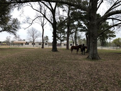 26427 Dobbin-Huffsmith Rd, Magnolia, TX 77354 - photo 2
