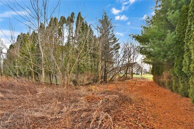 4103 Indian Creek Rd, Emmaus, PA 18049 - photo 7