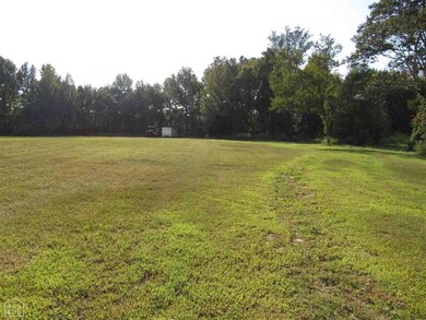 3895 Highway 351, Jonesboro, AR 72401 - photo 7