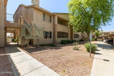 02 - Desert Foothills