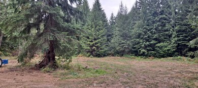 0 Mountain Loop Hwy unit NWM1970537, Granite Falls, WA 98252 - photo 4