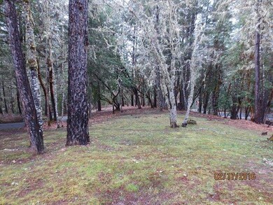 453 Penny Ln, Grants Pass, OR 97527 - photo 2