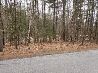 47 Juniper Ridge Rd unit 101, Gilford, NH 03249 - photo 3