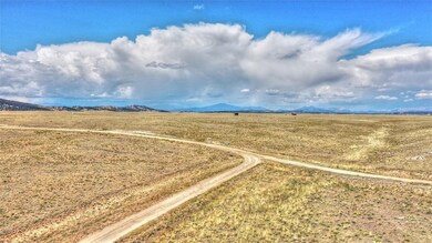 1298 Superstition Trail, Hartsel, CO 80449 - photo 7