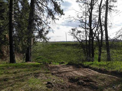 00 W Akers Ln, Colbert, WA 99005 - photo 4