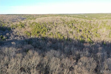 TBD County Road 426, Epps Township, MO 63901 - photo 6