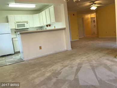 8805 Stoneridge Cir unit 203, Pikesville, MD 21208 - photo 7