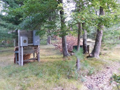 29017 E Yellow River Rd, Danbury, WI 54830 - photo 4