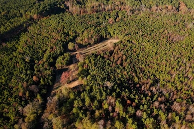 Cr 4210, Sallis, MS 39160 - photo 2